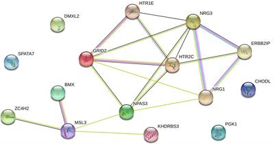 Gene differential co-expression analysis of male infertility patients based on statistical and machine learning methods